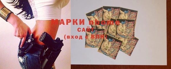 молекула духа Семилуки