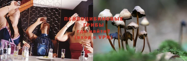 молекула духа Семилуки