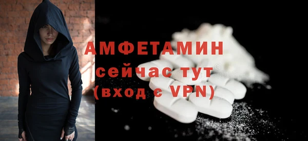 молекула духа Семилуки