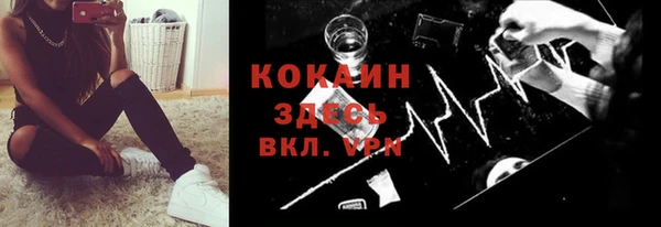 молекула духа Семилуки