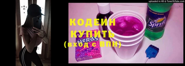 молекула духа Семилуки