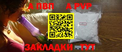 спайс Кингисепп