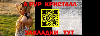 спайс Кингисепп