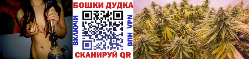 закладка  Самара  Бошки Шишки индика 